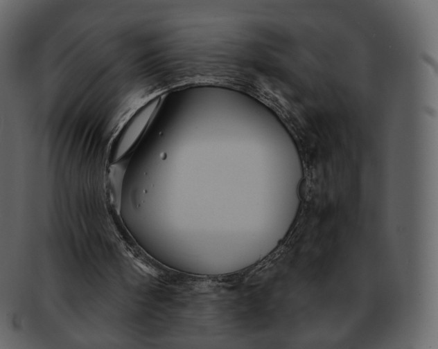 X0000092310098200710051246