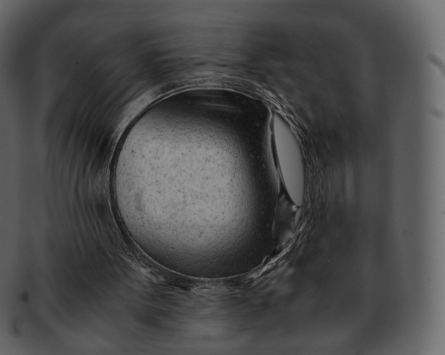 X0000092310099200710051246