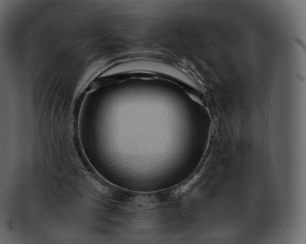 X0000092310101200710051246