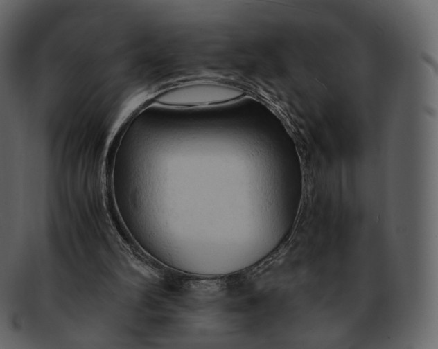 X0000092310102200710051246
