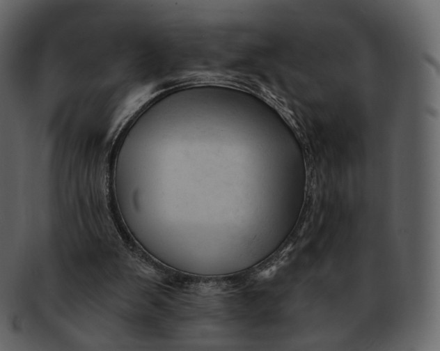 X0000092310103200710051246