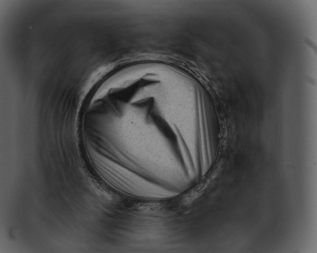 X0000092310104200710051246