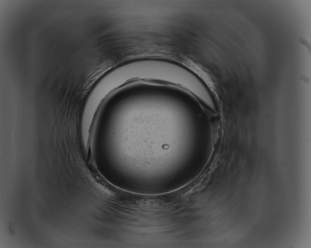 X0000092310105200710051245