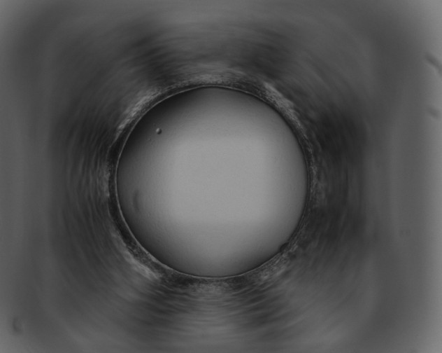 X0000092310106200710051245