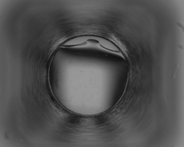 X0000092310107200710051245