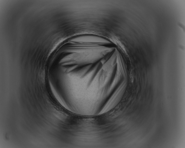 X0000092310108200710051245