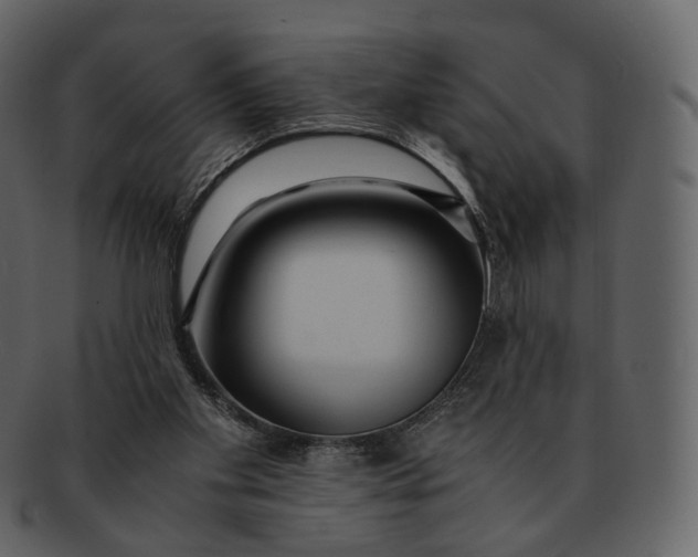 X0000092310109200710051245