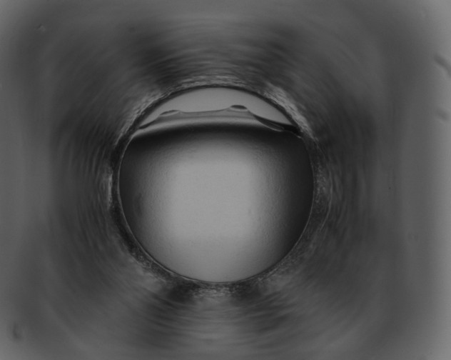 X0000092310110200710051245