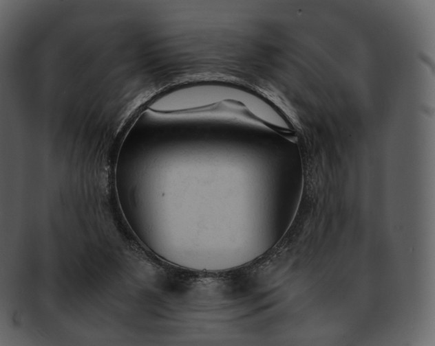 X0000092310111200710051245