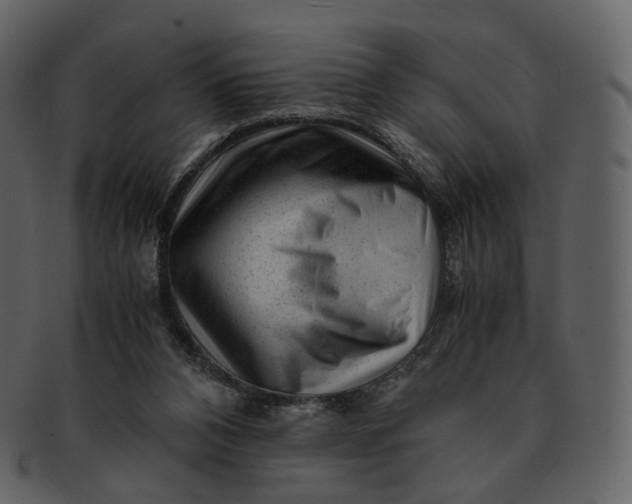 X0000092310112200710051245