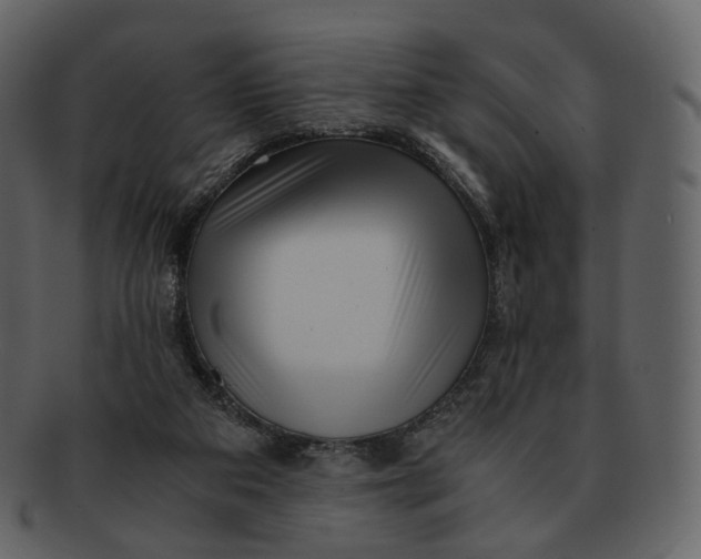 X0000092310113200710051245