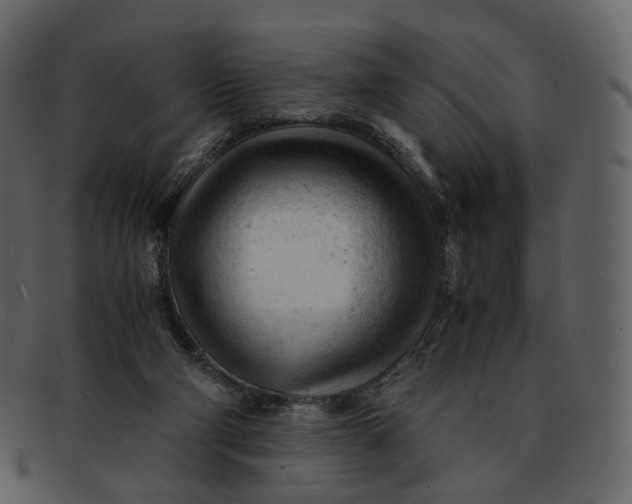 X0000092310114200710051245