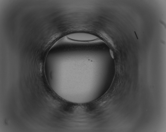 X0000092310115200710051245
