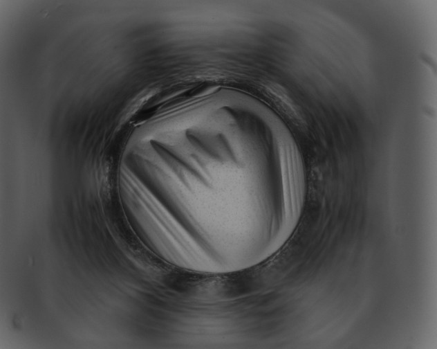 X0000092310116200710051245