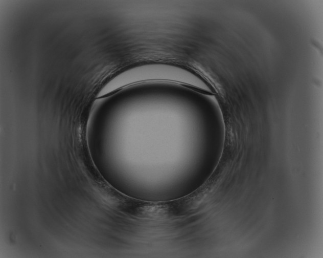 X0000092310117200710051245