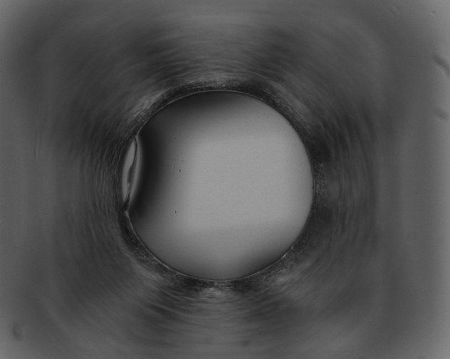 X0000092310119200710051245