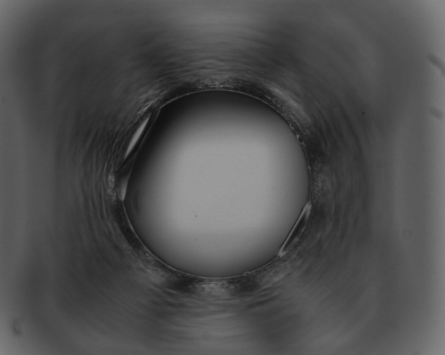 X0000092310121200710051245