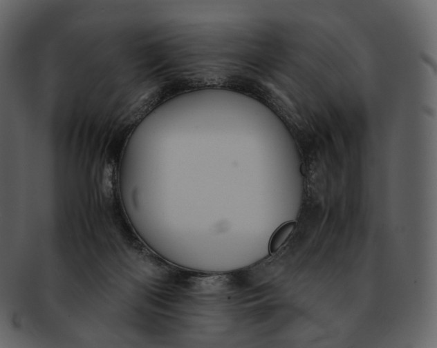 X0000092310122200710051245