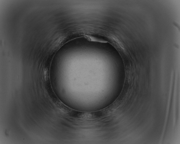 X0000092310123200710051245