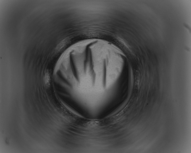 X0000092310124200710051245