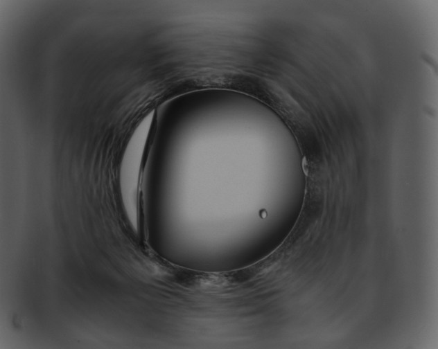 X0000092310125200710051245
