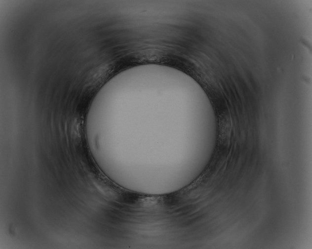 X0000092310126200710051245