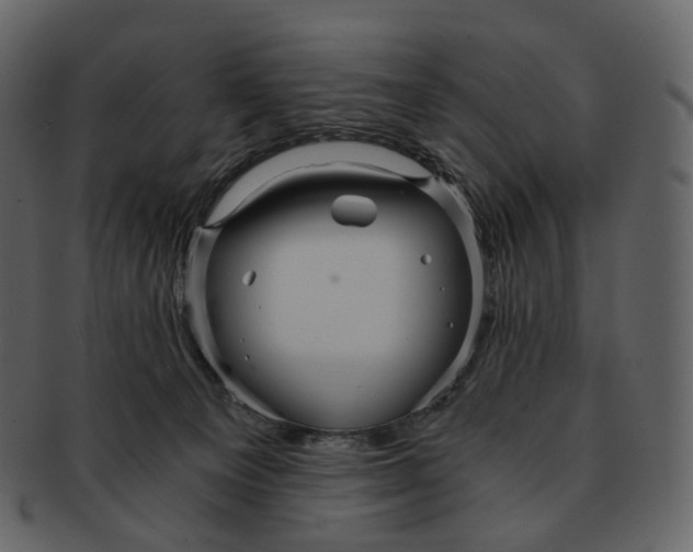 X0000092310129200710051245