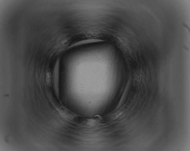 X0000092310130200710051245