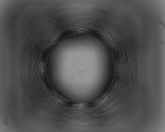 X0000092310131200710051245