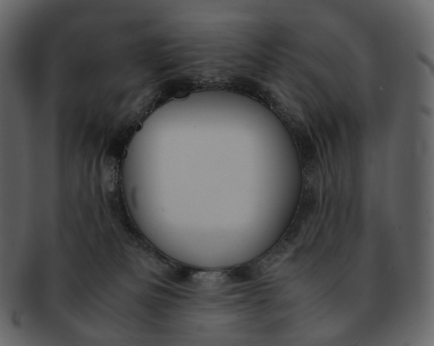 X0000092310133200710051245
