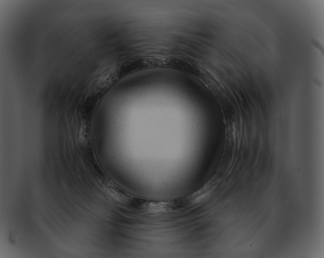 X0000092310134200710051245