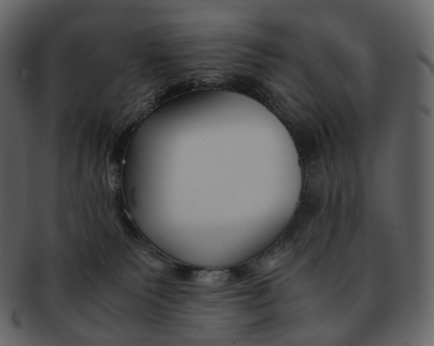 X0000092310135200710051245