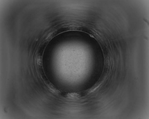 X0000092310137200710051245