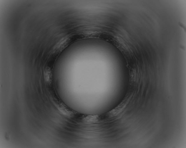 X0000092310138200710051245