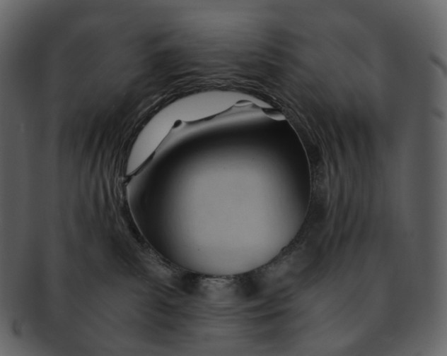 X0000092310139200710051245