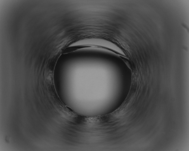 X0000092310141200710051245