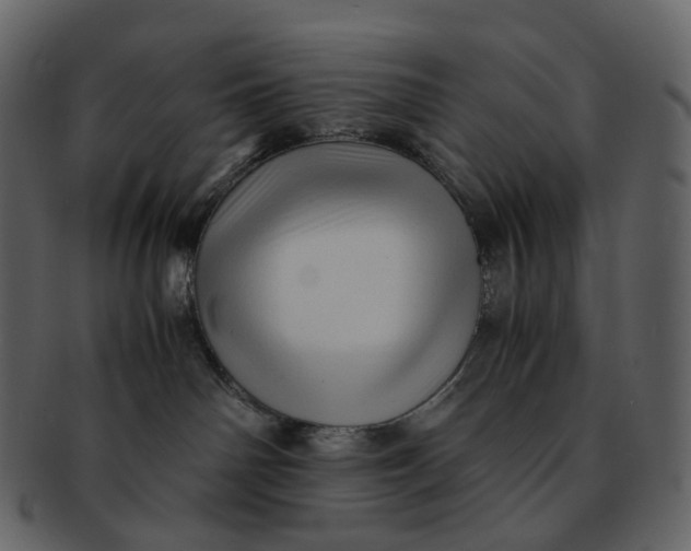 X0000092310142200710051245