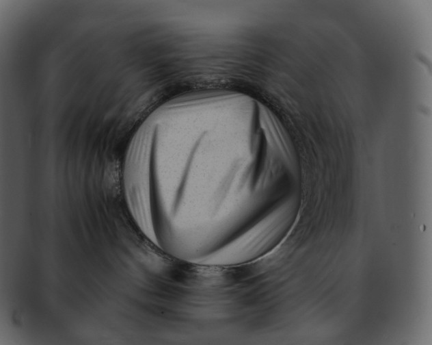 X0000092310144200710051245