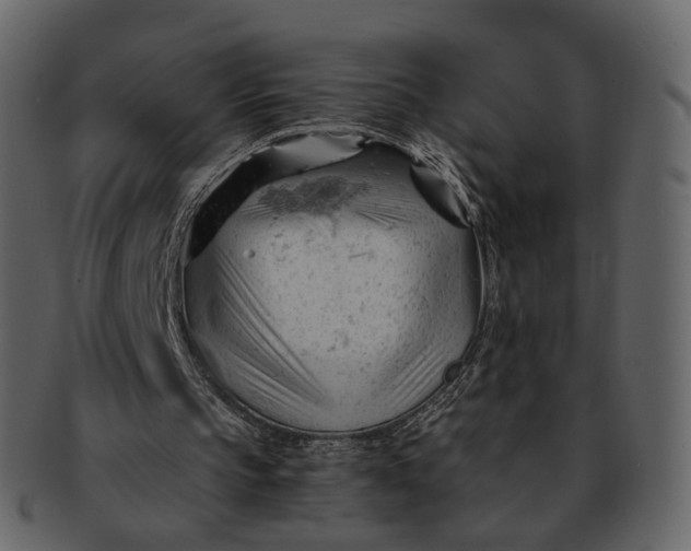 X0000092310145200710051244