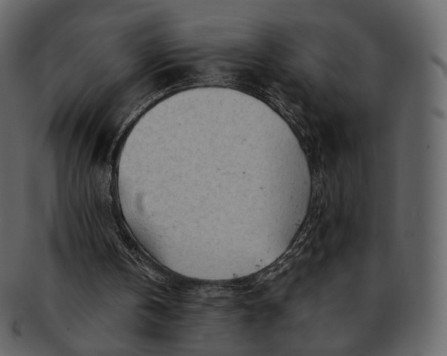 X0000092310146200710051244