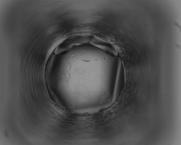X0000092310147200710051244