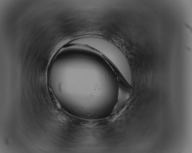 X0000092310148200710051244
