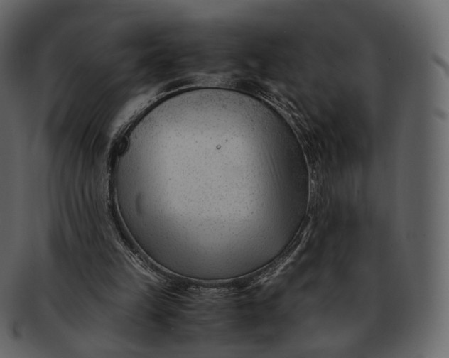 X0000092310149200710051245