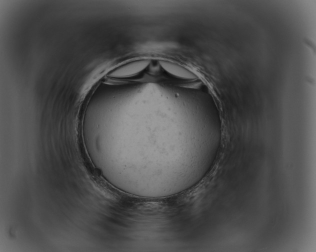 X0000092310151200710051245