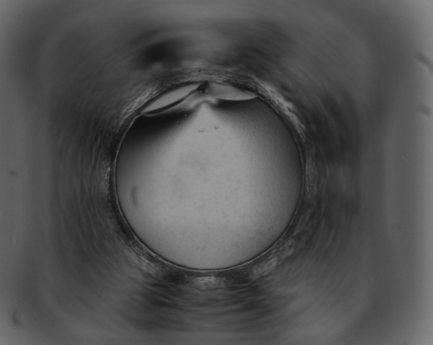 X0000092310153200710051245