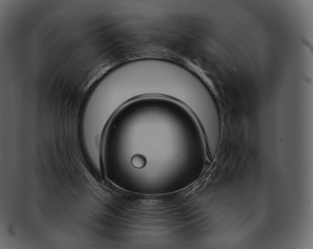 X0000092310154200710051245