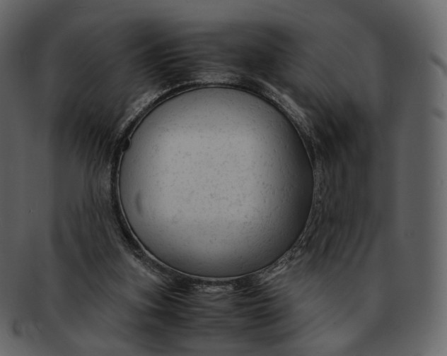 X0000092310155200710051245