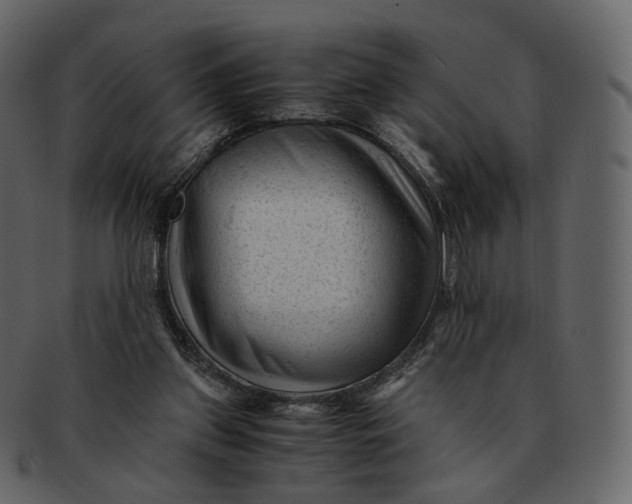 X0000092310157200710051245