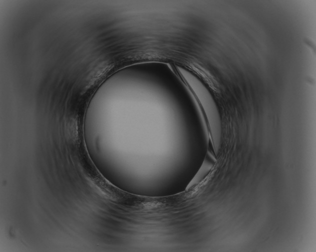 X0000092310158200710051245
