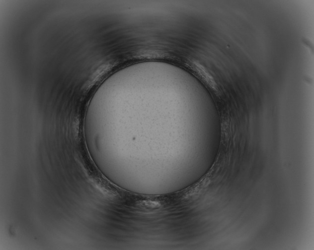 X0000092310159200710051245